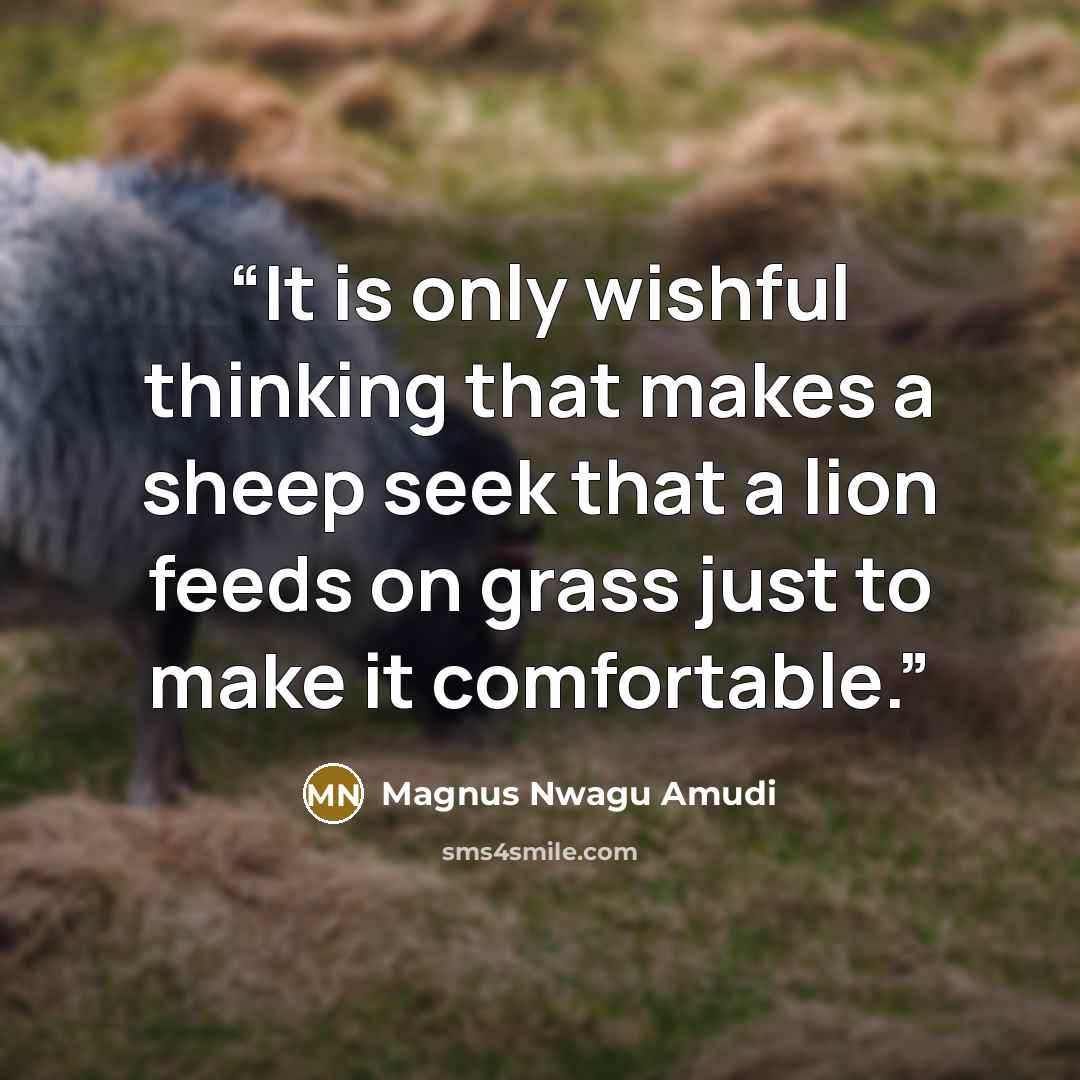 “It is only wishful thinking that makes a sheep seek that a lion feeds on grass just to make it comfortable.” quote by Magnus Nwagu Amudi