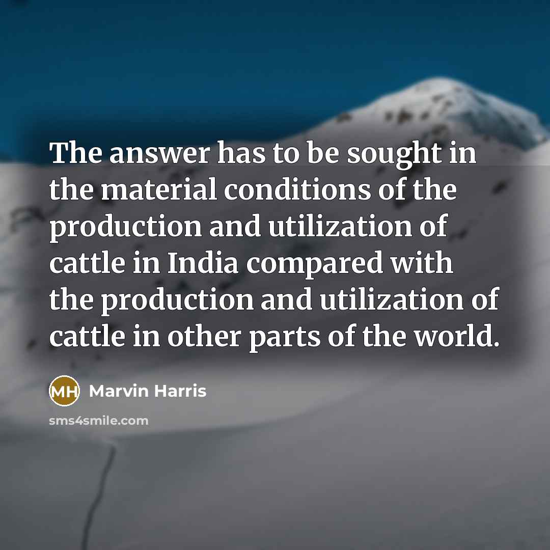 “The answer has to be sought in the material conditions of the production and utilization of cattle in India compared with the production and utilization of cattle in other parts of the world.” quote by Marvin Harris