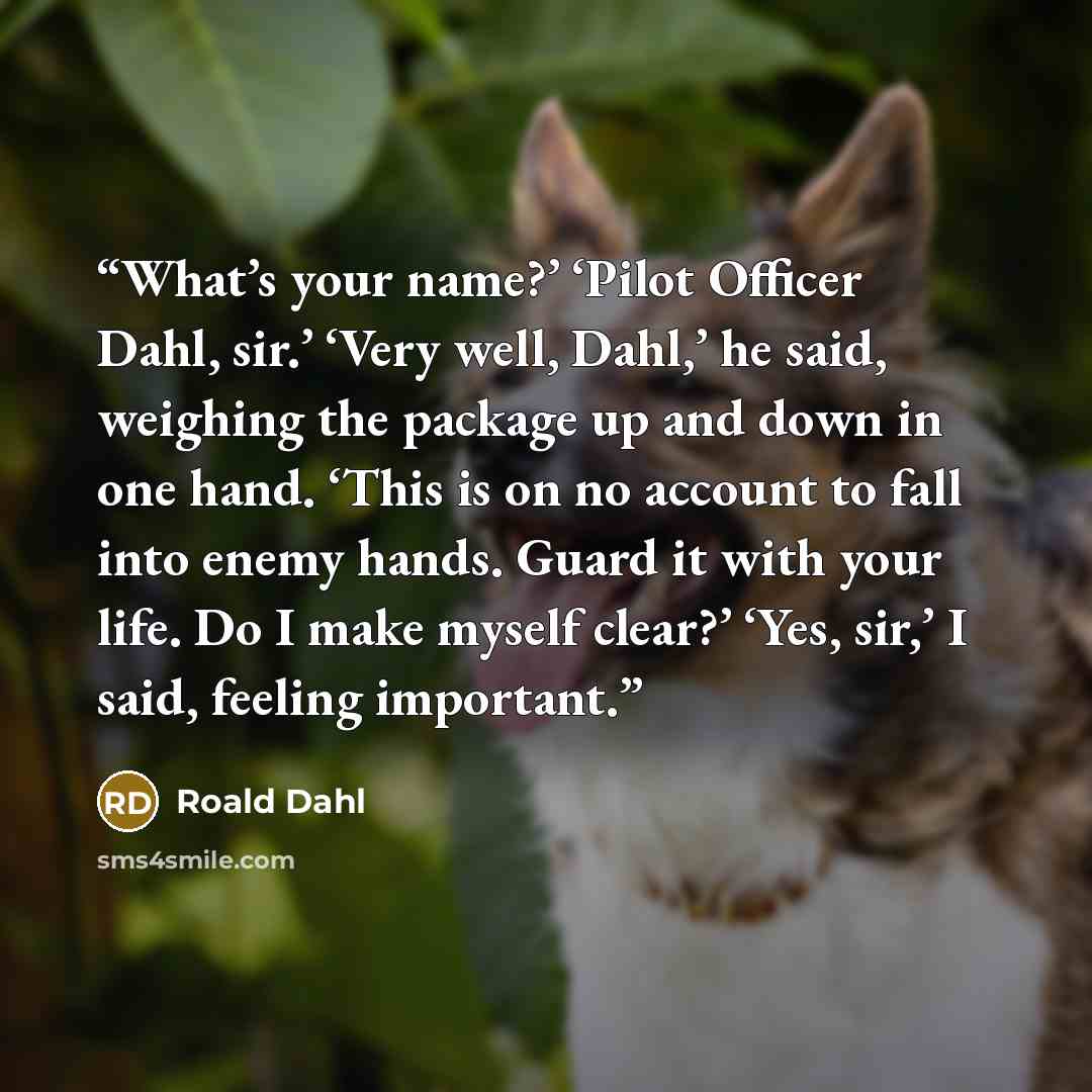 “What’s your name?’ ‘Pilot Officer Dahl, sir.’ ‘Very well, Dahl,’ he said, weighing the package up and down in one hand. ‘This is on no account to fall into enemy hands. Guard it with your life. Do I make myself clear?’ ‘Yes, sir,’ I said, feeling important.” quote by Roald Dahl