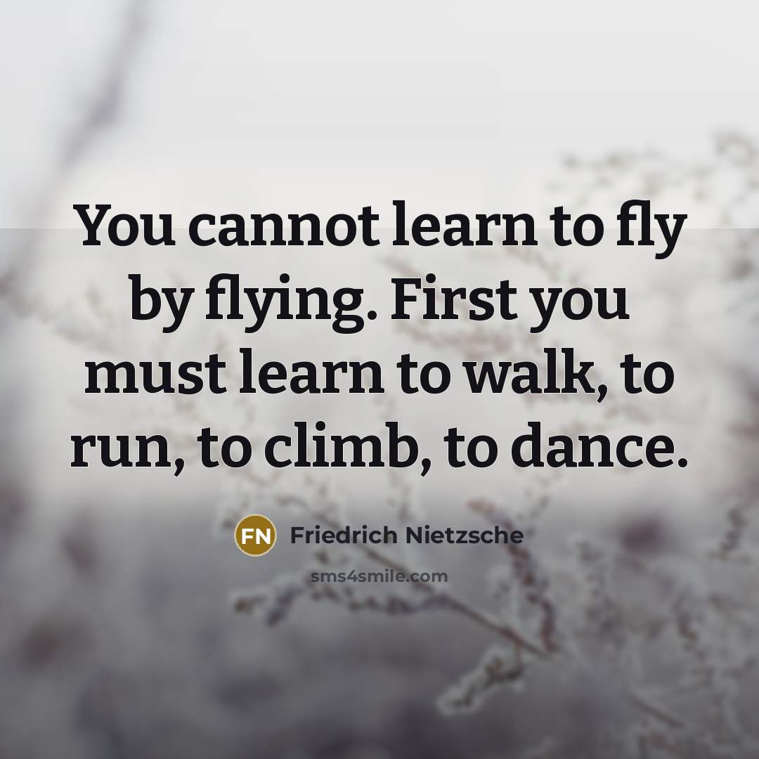 “You cannot learn to fly by flying. First you must learn to walk, to run, to climb, to dance.” quote by Friedrich Nietzsche