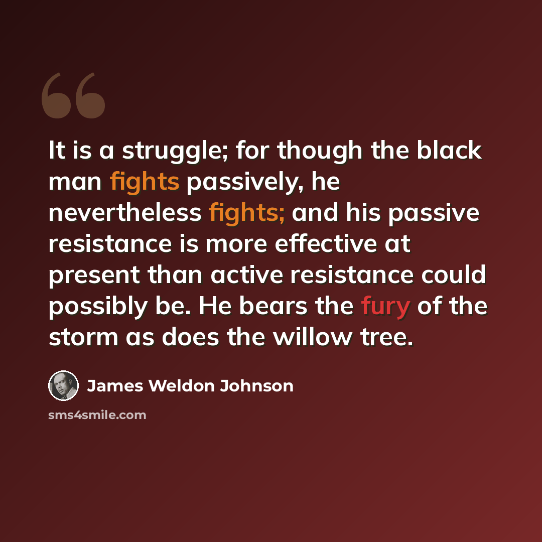 “It is a struggle; for though the black man fights passively, he nevertheless fights; and his passive resistance is more effective at present than active resistance could possibly be. He bears the fury of the storm as does the willow tree.” quote by James Weldon Johnson