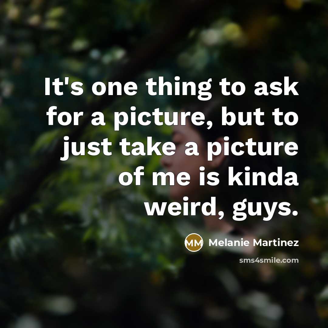 “It's one thing to ask for a picture, but to just take a picture of me is kinda weird, guys.” quote by Melanie Martinez