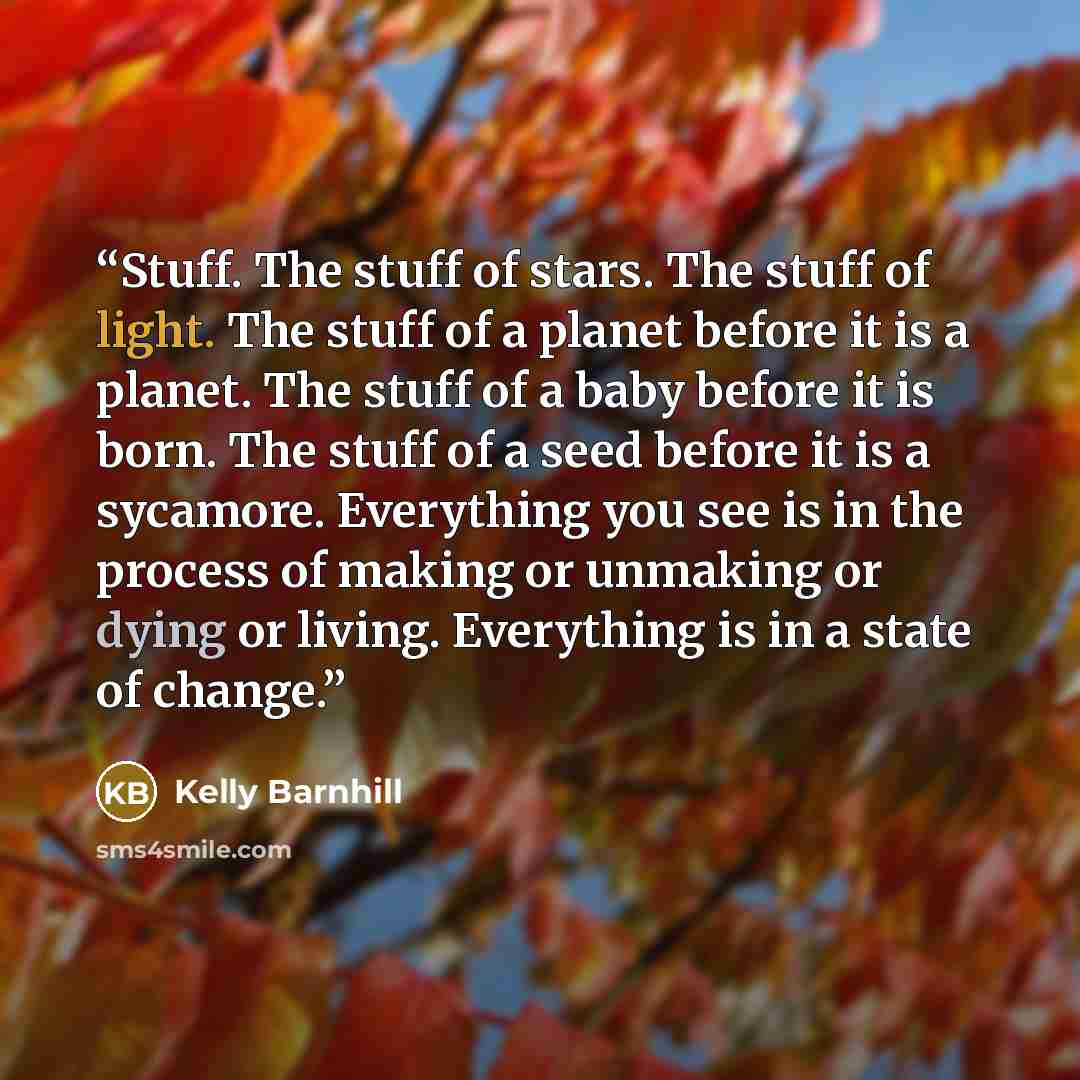 “Stuff. The stuff of stars. The stuff of light. The stuff of a planet before it is a planet. The stuff of a baby before it is born. The stuff of a seed before it is a sycamore. Everything you see is in the process of making or unmaking or dying or living. Everything is in a state of change.” quote by Kelly Barnhill