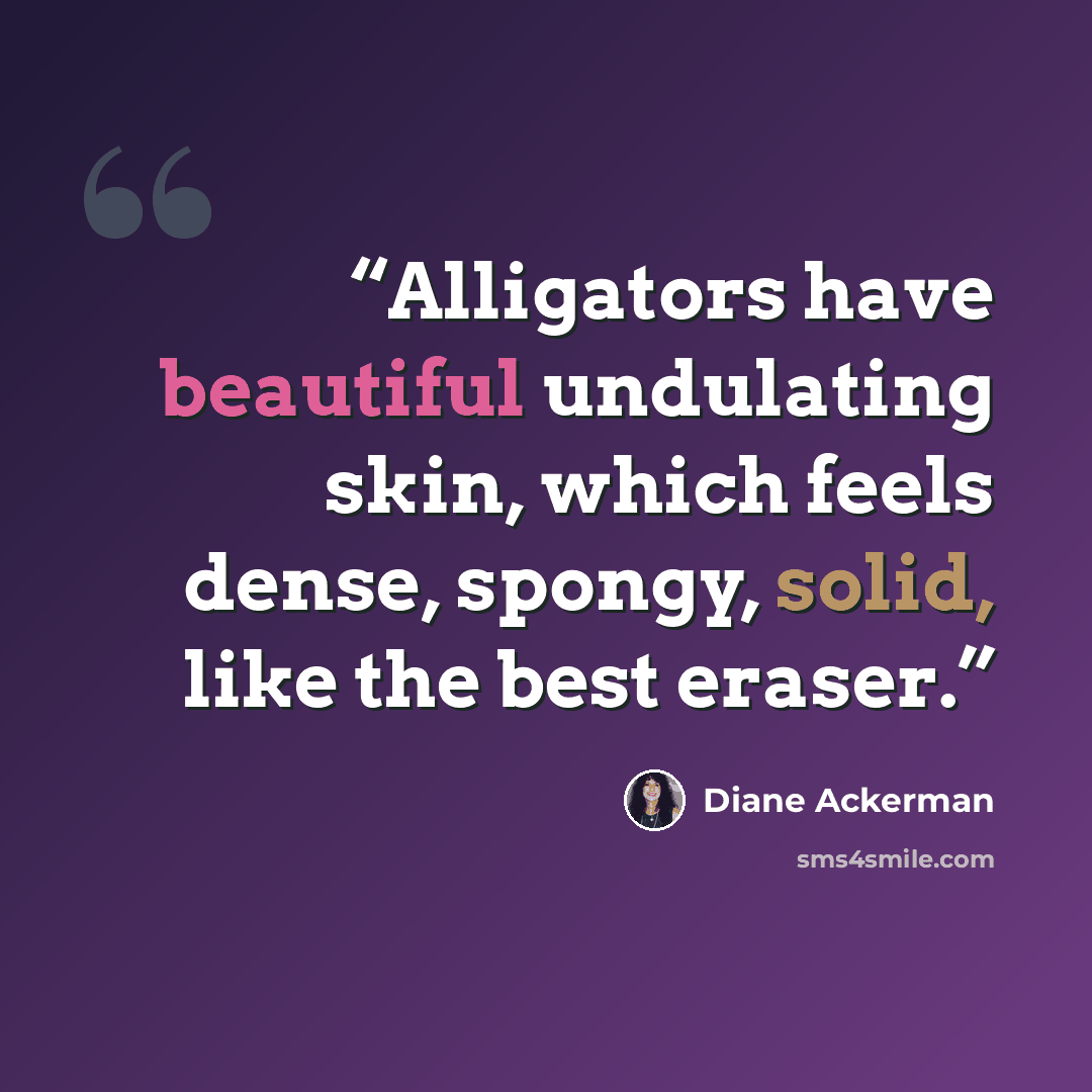 “Alligators have beautiful undulating skin, which feels dense, spongy, solid, like the best eraser.” quote by Diane Ackerman