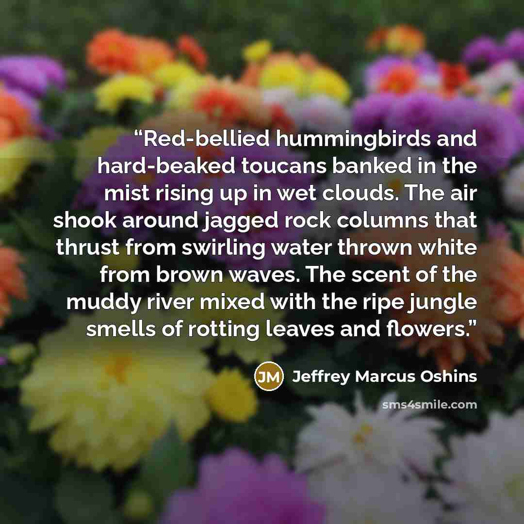 “Red-bellied hummingbirds and hard-beaked toucans banked in the mist rising up in wet clouds. The air shook around jagged rock columns that thrust from swirling water thrown white from brown waves. The scent of the muddy river mixed with the ripe jungle smells of rotting leaves and flowers.” quote by Jeffrey Marcus Oshins