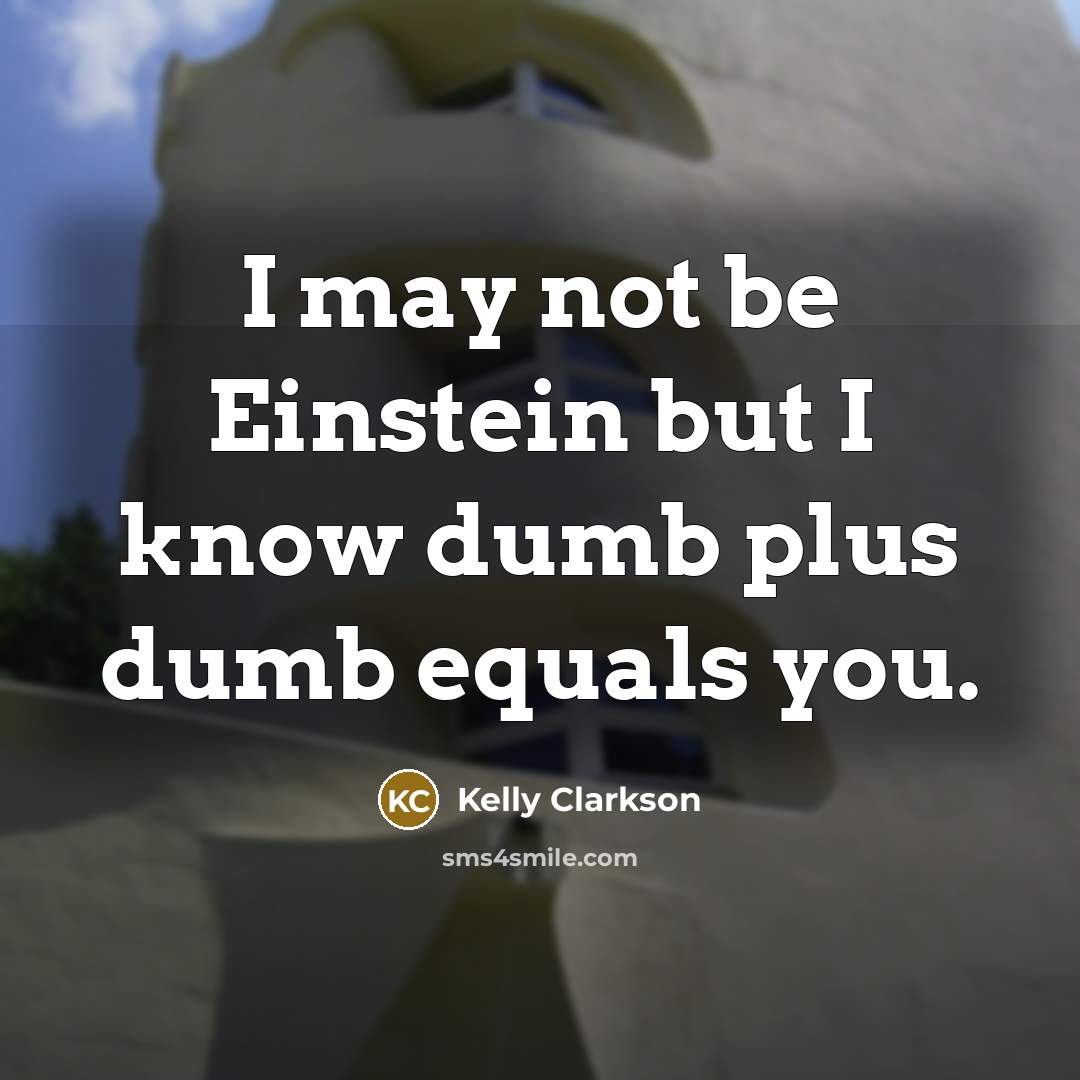 “I may not be Einstein but I know dumb plus dumb equals you.” quote by Kelly Clarkson