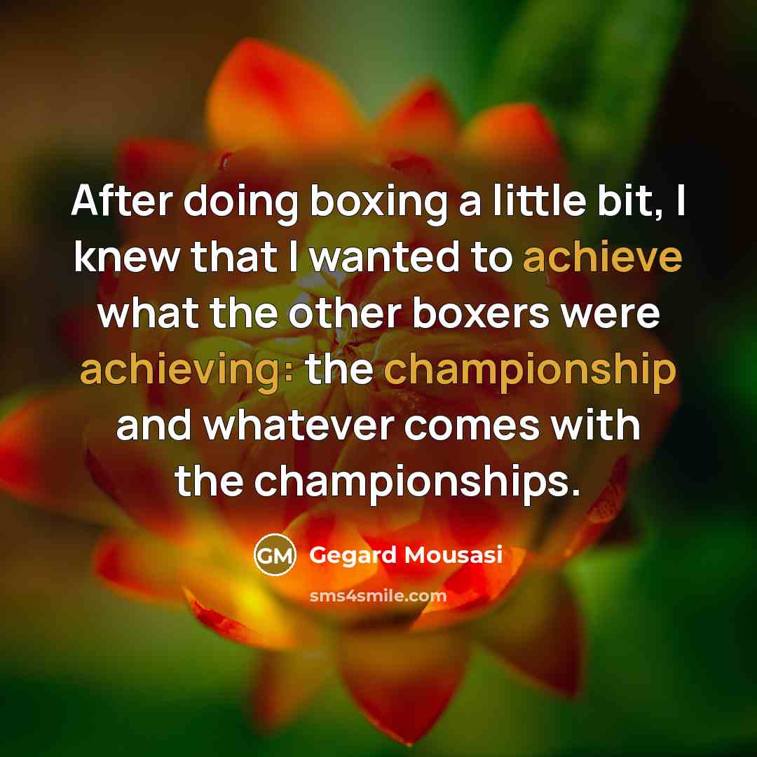 “After doing boxing a little bit, I knew that I wanted to achieve what the other boxers were achieving: the championship and whatever comes with the championships.” quote by Gegard Mousasi