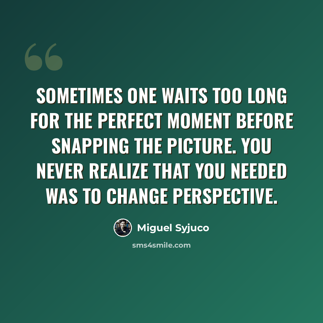 “Sometimes one waits too long for the perfect moment before snapping the picture. You never realize that you needed was to change perspective.” quote by Miguel Syjuco