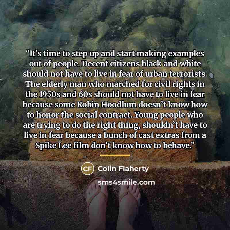 “It’s time to step up and start making examples out of people. Decent citizens black and white should not have to live in fear of urban terrorists. The elderly man who marched for civil rights in the 1950s and 60s should not have to live in fear because some Robin Hoodlum doesn’t know how to honor…” quote by Colin Flaherty