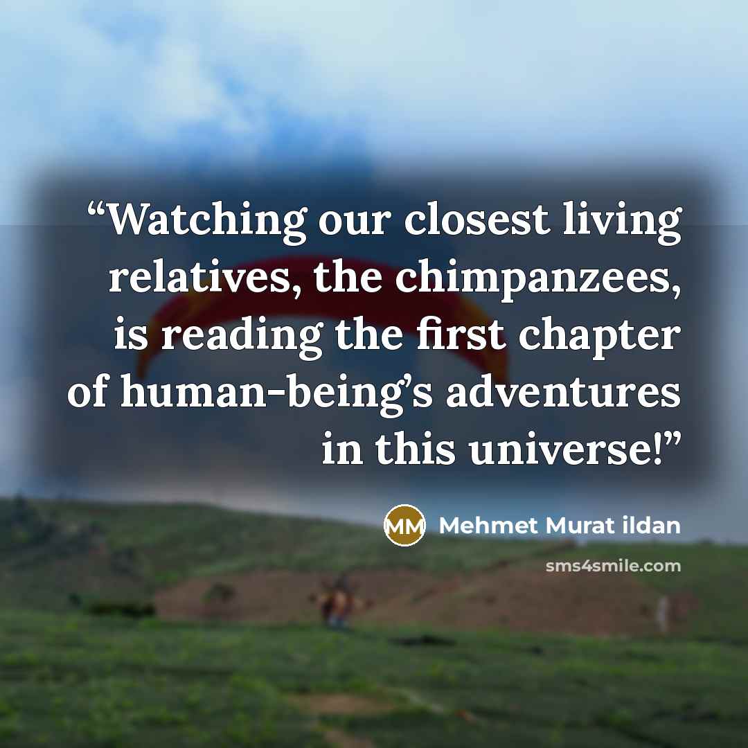 “Watching our closest living relatives, the chimpanzees, is reading the first chapter of human-being’s adventures in this universe!” quote by Mehmet Murat ildan