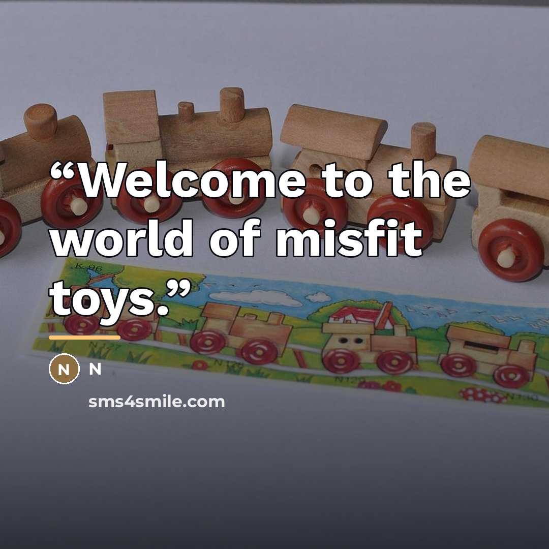 “Welcome to the world of misfit toys.” quote by N