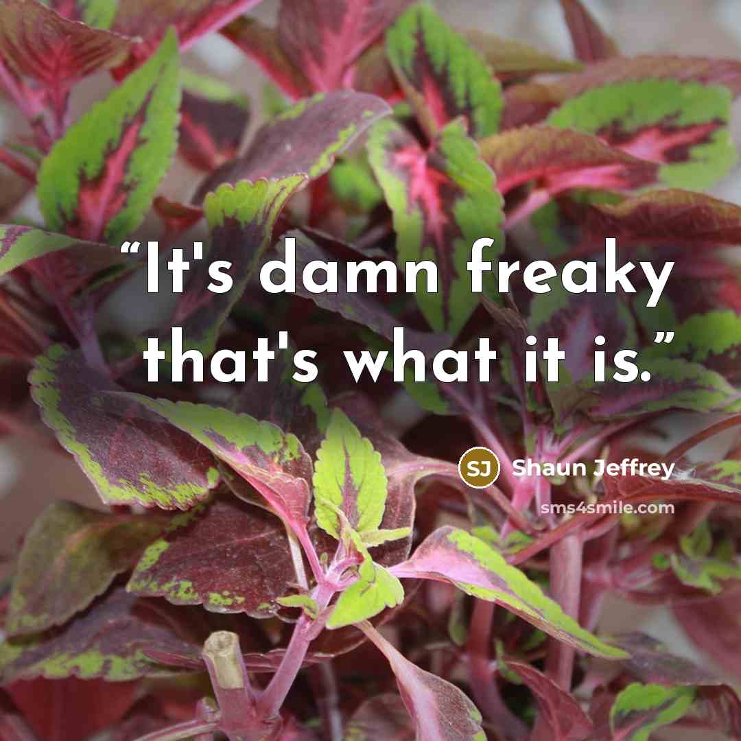 “It's damn freaky that's what it is.” quote by Shaun Jeffrey