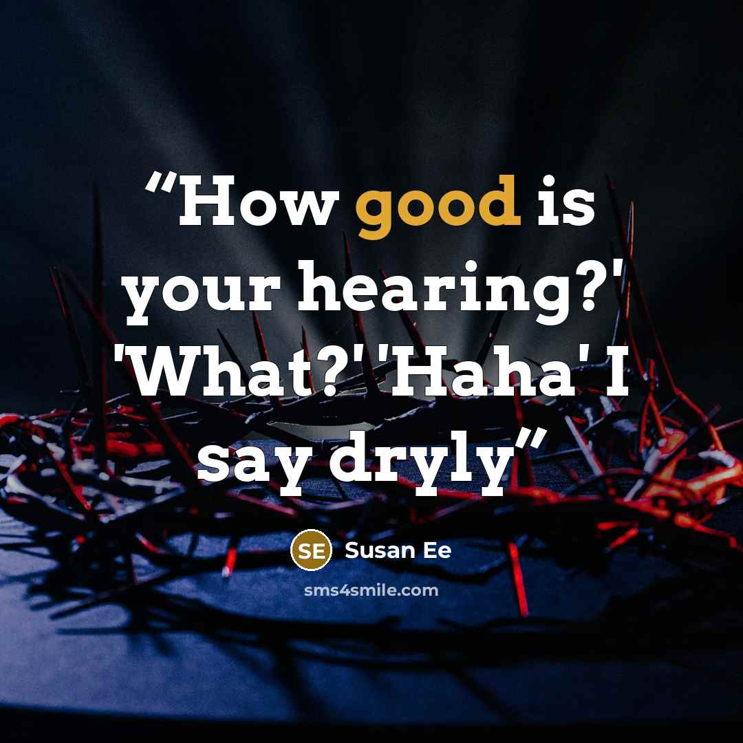 “How good is your hearing?' 'What?' 'Haha' I say dryly” quote by Susan Ee