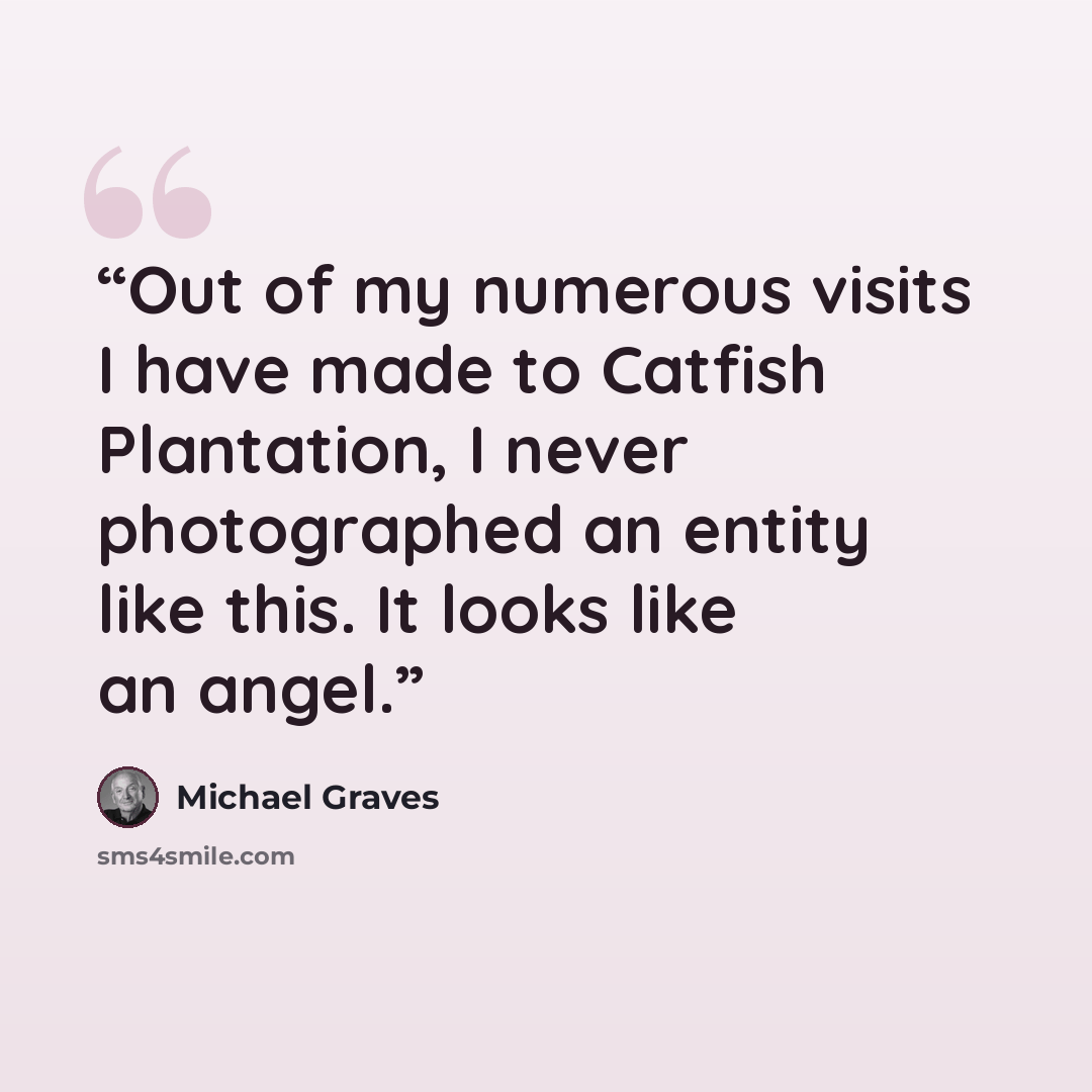 “Out of my numerous visits I have made to Catfish Plantation, I never photographed an entity like this. It looks like an angel.” quote by Michael Graves