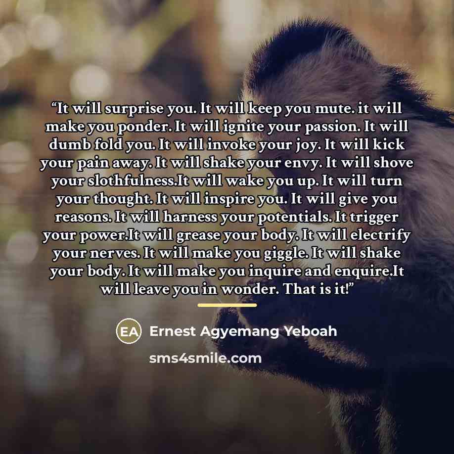 “It will surprise you. It will keep you mute. it will make you ponder. It will ignite your passion. It will dumb fold you. It will invoke your joy. It will kick your pain away. It will shake your envy. It will shove your slothfulness.It will wake you up. It will turn your thought. It will inspire…” quote by Ernest Agyemang Yeboah