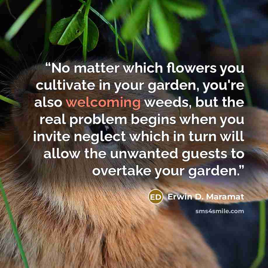 “No matter which flowers you cultivate in your garden, you're also welcoming weeds, but the real problem begins when you invite neglect which in turn will allow the unwanted guests to overtake your garden.” quote by Erwin D. Maramat