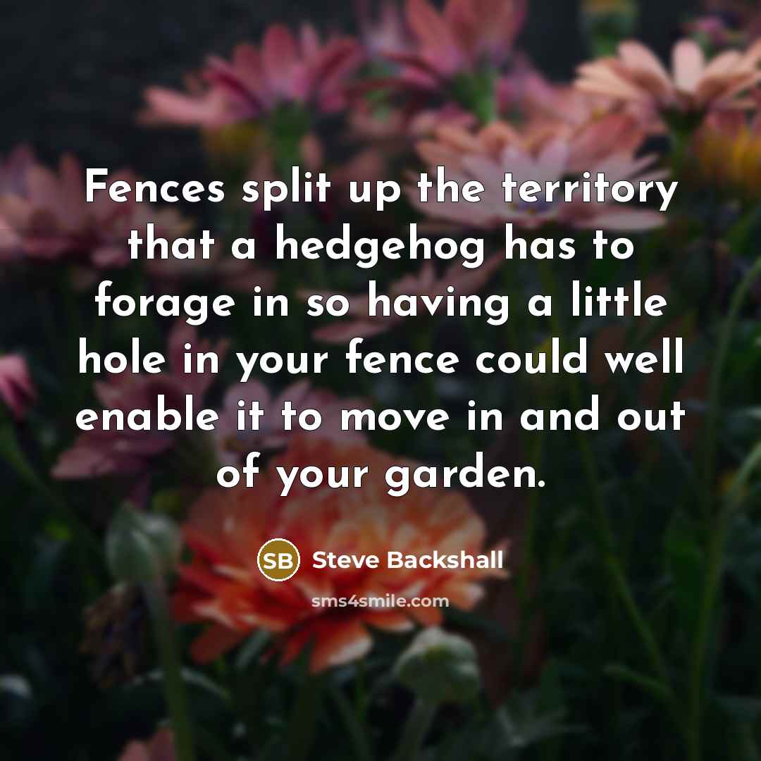 “Fences split up the territory that a hedgehog has to forage in so having a little hole in your fence could well enable it to move in and out of your garden.” quote by Steve Backshall