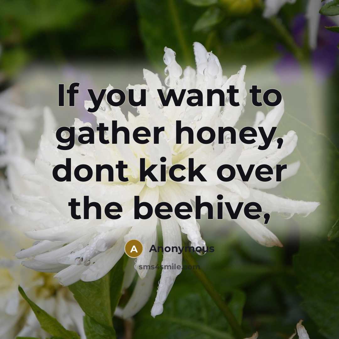 “If you want to gather honey, dont kick over the beehive,” quote by Anonymous
