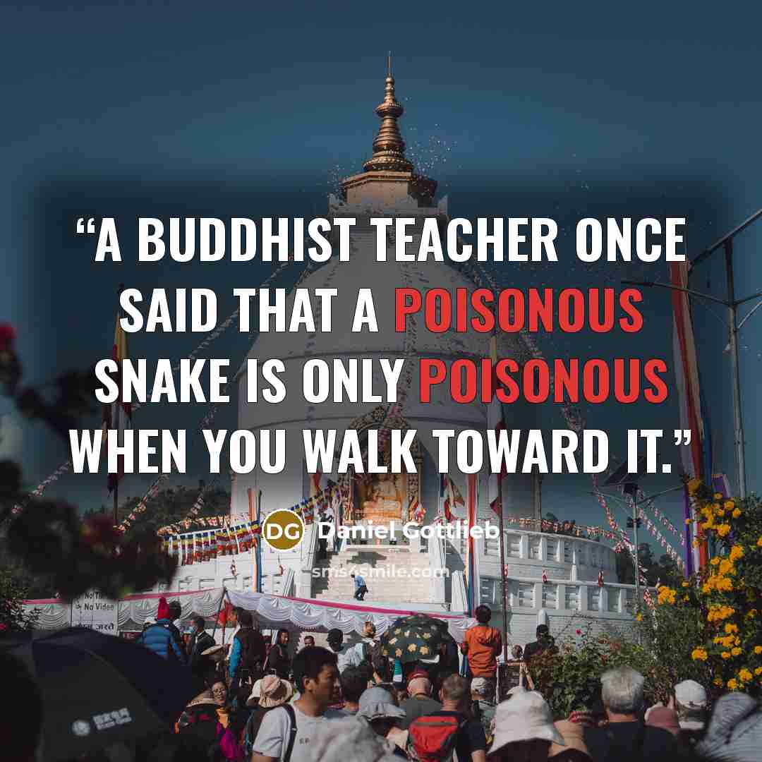 “A Buddhist teacher once said that a poisonous snake is only poisonous when you walk toward it.” quote by Daniel Gottlieb