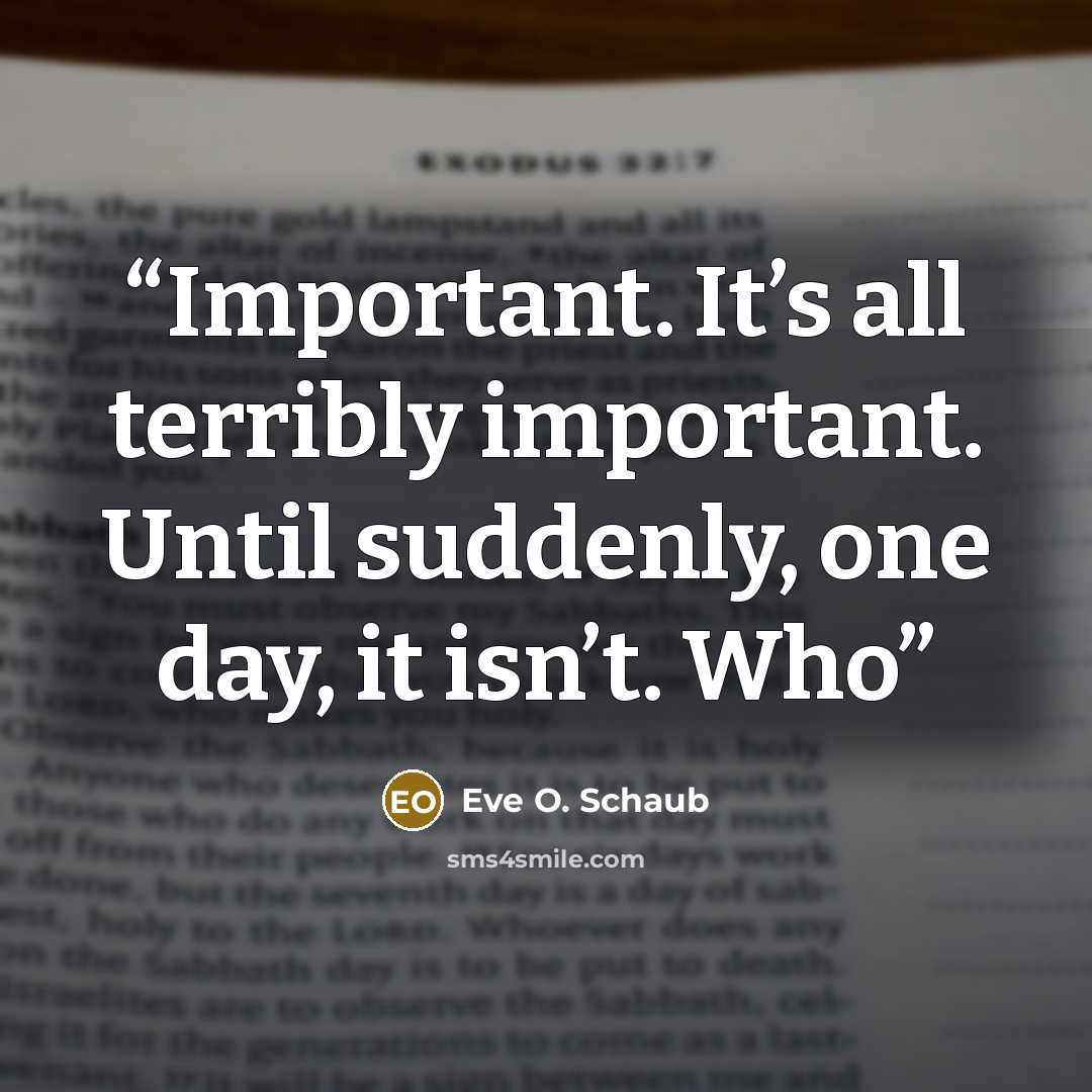 “Important. It’s all terribly important. Until suddenly, one day, it isn’t. Who” quote by Eve O. Schaub