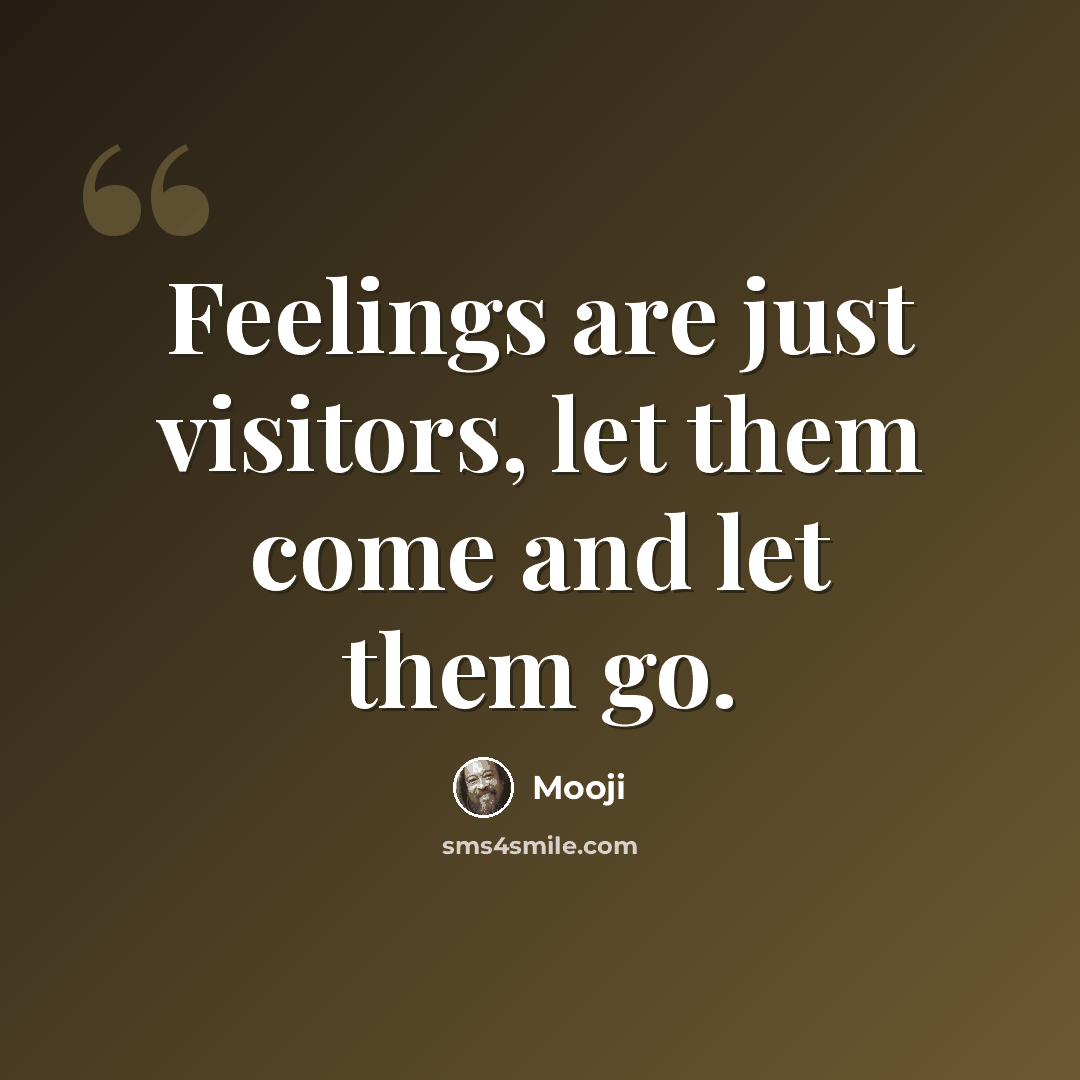 “Feelings are just visitors, let them come and let them go.” quote by Mooji