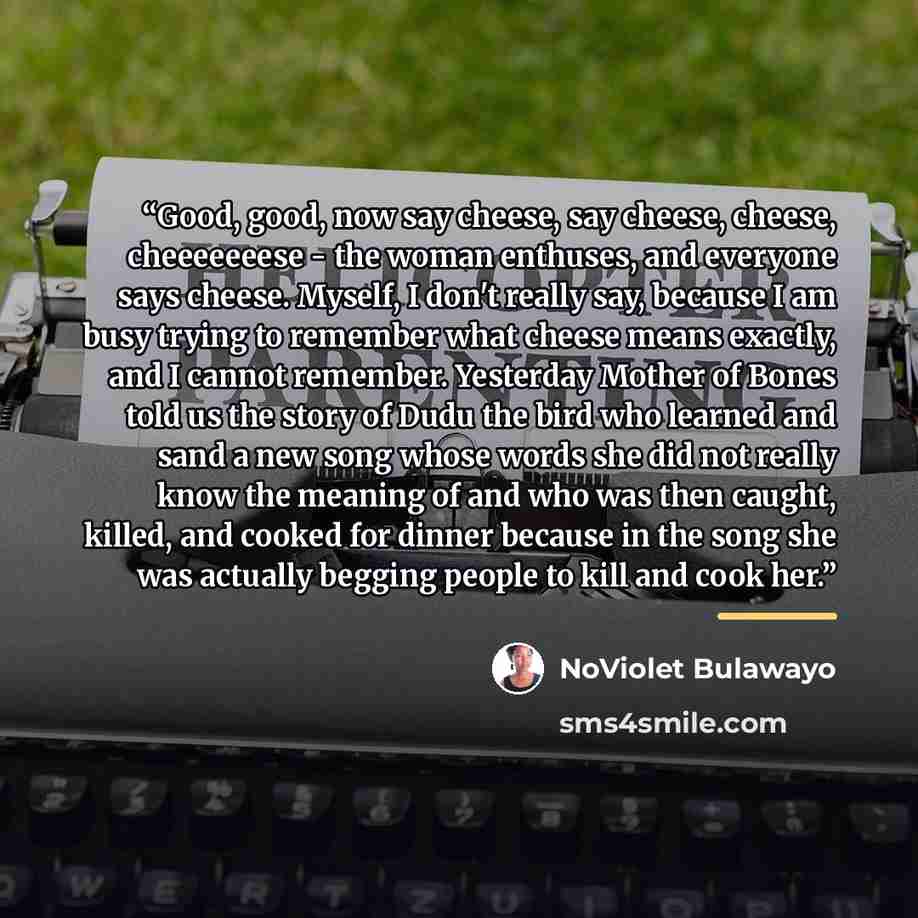“Good, good, now say cheese, say cheese, cheese, cheeeeeeese - the woman enthuses, and everyone says cheese. Myself, I don't really say, because I am busy trying to remember what cheese means exactly, and I cannot remember. Yesterday Mother of Bones told us the story of Dudu the bird who learned…” quote by NoViolet Bulawayo
