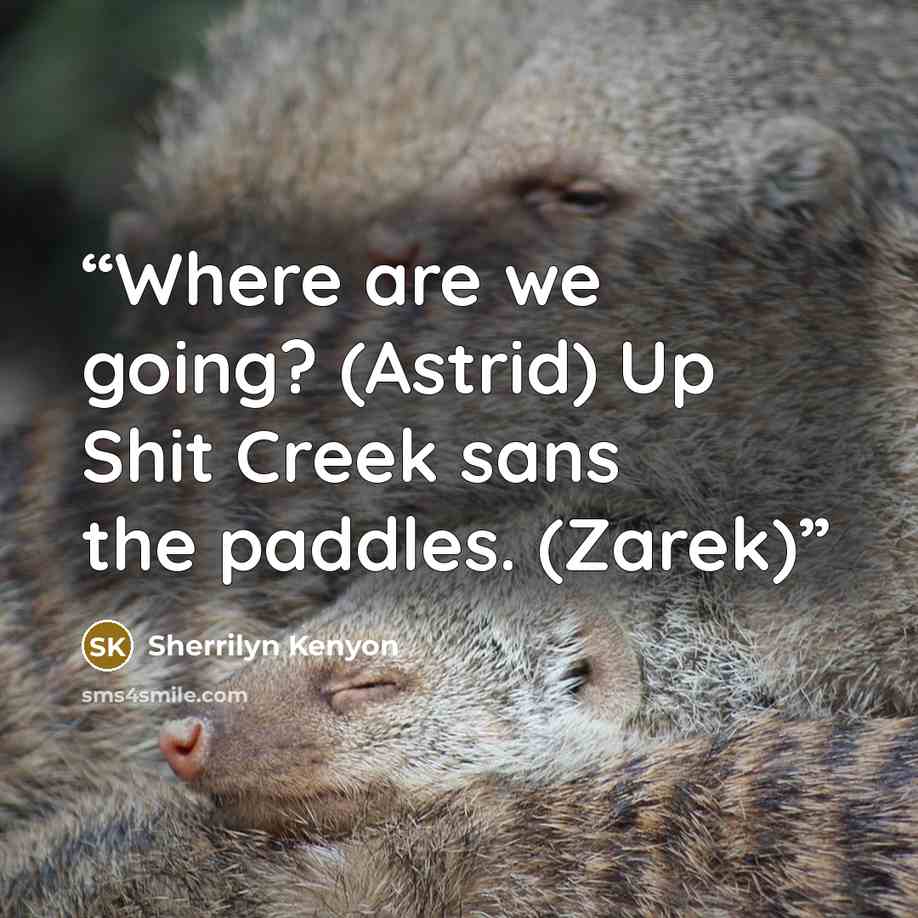 “Where are we going? (Astrid) Up Shit Creek sans the paddles. (Zarek)” quote by Sherrilyn Kenyon