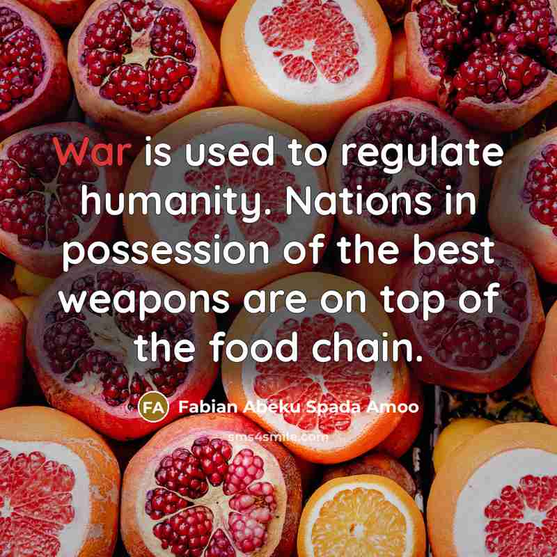 “War is used to regulate humanity. Nations in possession of the best weapons are on top of the food chain.” quote by Fabian Abeku Spada Amoo