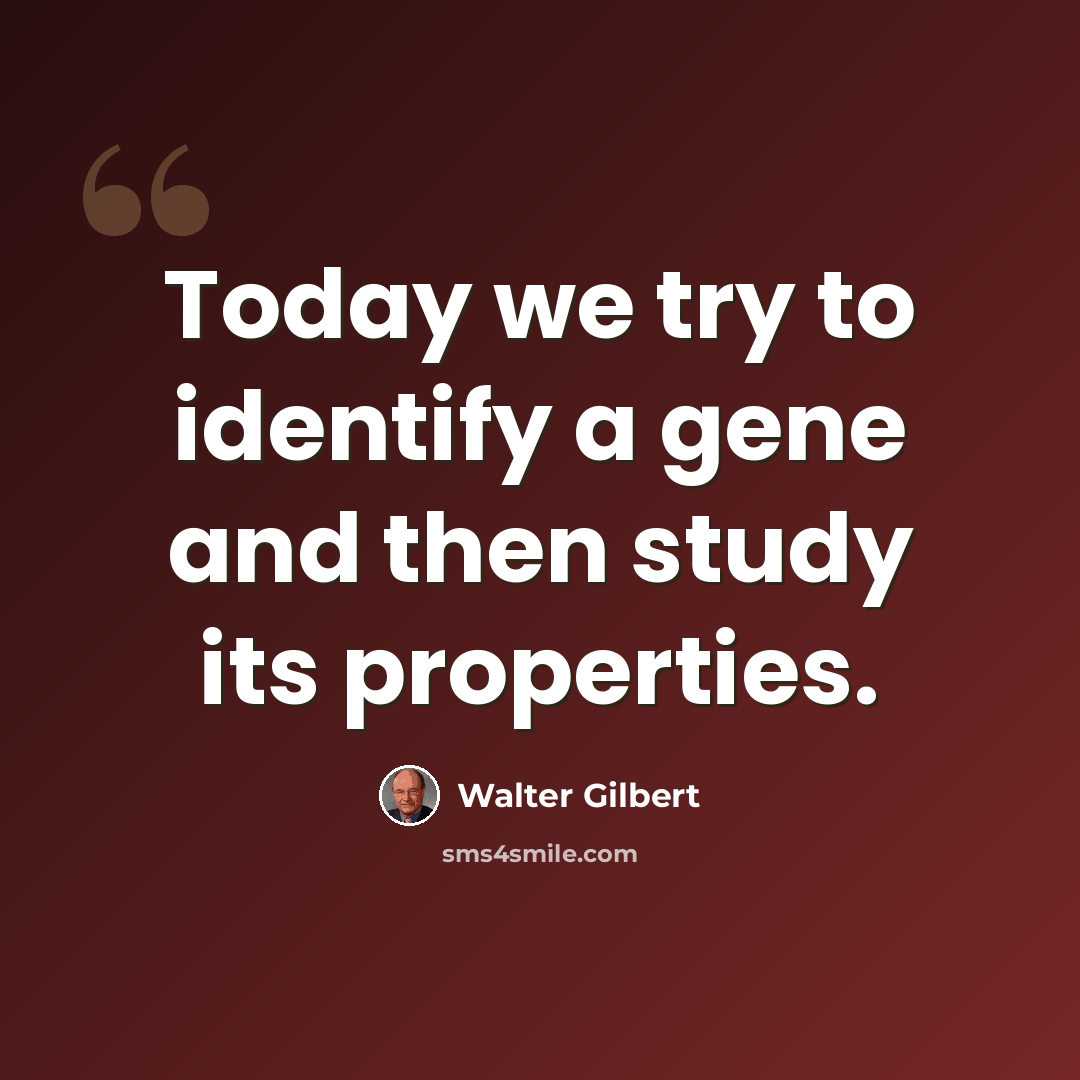 “Today we try to identify a gene and then study its properties.” quote by Walter Gilbert