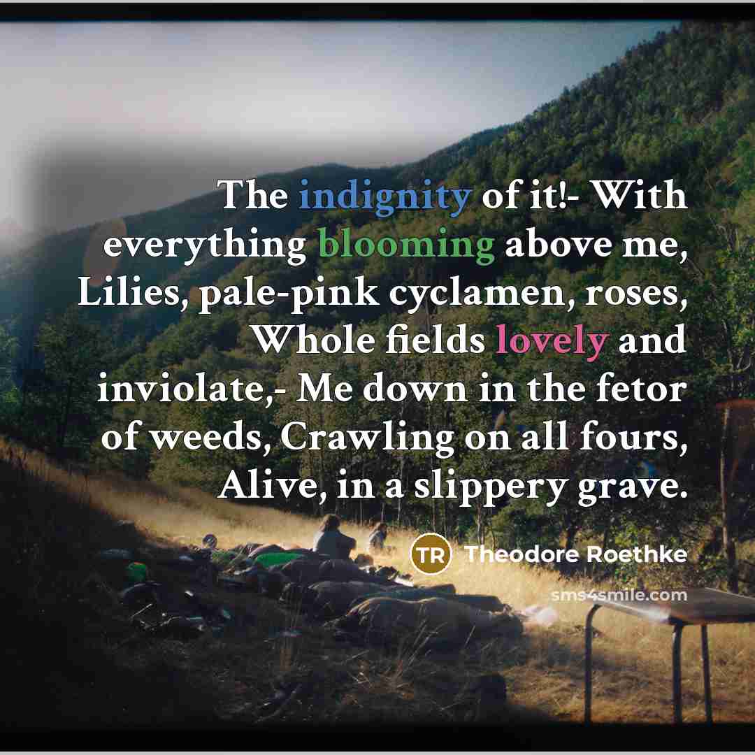“The indignity of it!- With everything blooming above me, Lilies, pale-pink cyclamen, roses, Whole fields lovely and inviolate,- Me down in the fetor of weeds, Crawling on all fours, Alive, in a slippery grave.” quote by Theodore Roethke