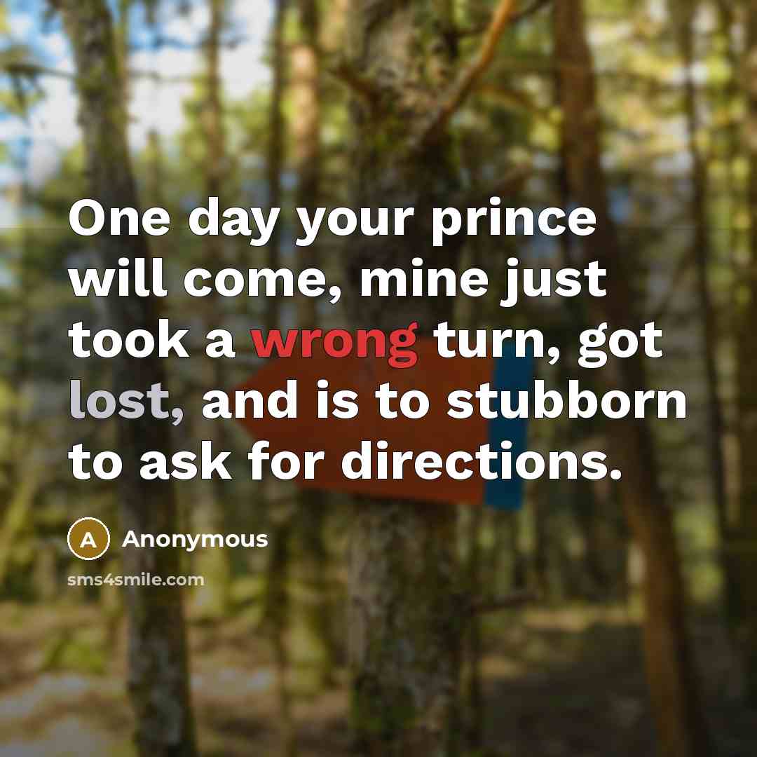 “One day your prince will come, mine just took a wrong turn, got lost, and is to stubborn to ask for directions.” quote by Anonymous