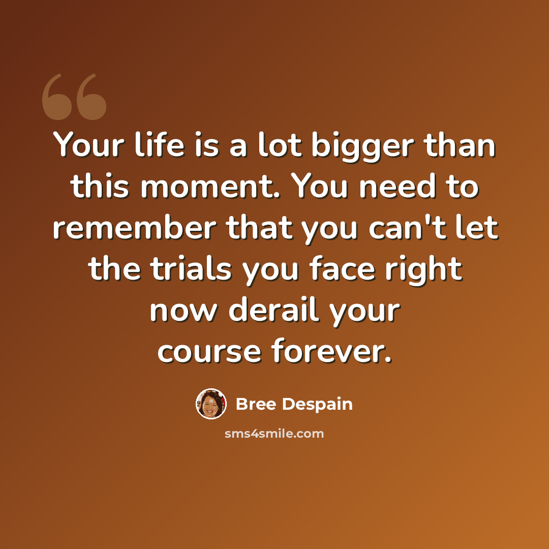 “Your life is a lot bigger than this moment. You need to remember that you can't let the trials you face right now derail your course forever.” quote by Bree Despain
