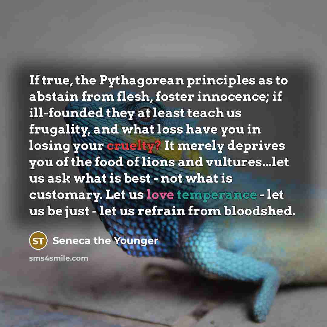 “If true, the Pythagorean principles as to abstain from flesh, foster innocence; if ill-founded they at least teach us frugality, and what loss have you in losing your cruelty? It merely deprives you of the food of lions and vultures...let us ask what is best - not what is customary. Let us love…” quote by Seneca the Younger