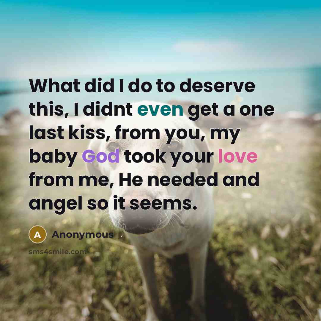 “What did I do to deserve this, I didnt even get a one last kiss, from you, my baby God took your love from me, He needed and angel so it seems.” quote by Anonymous