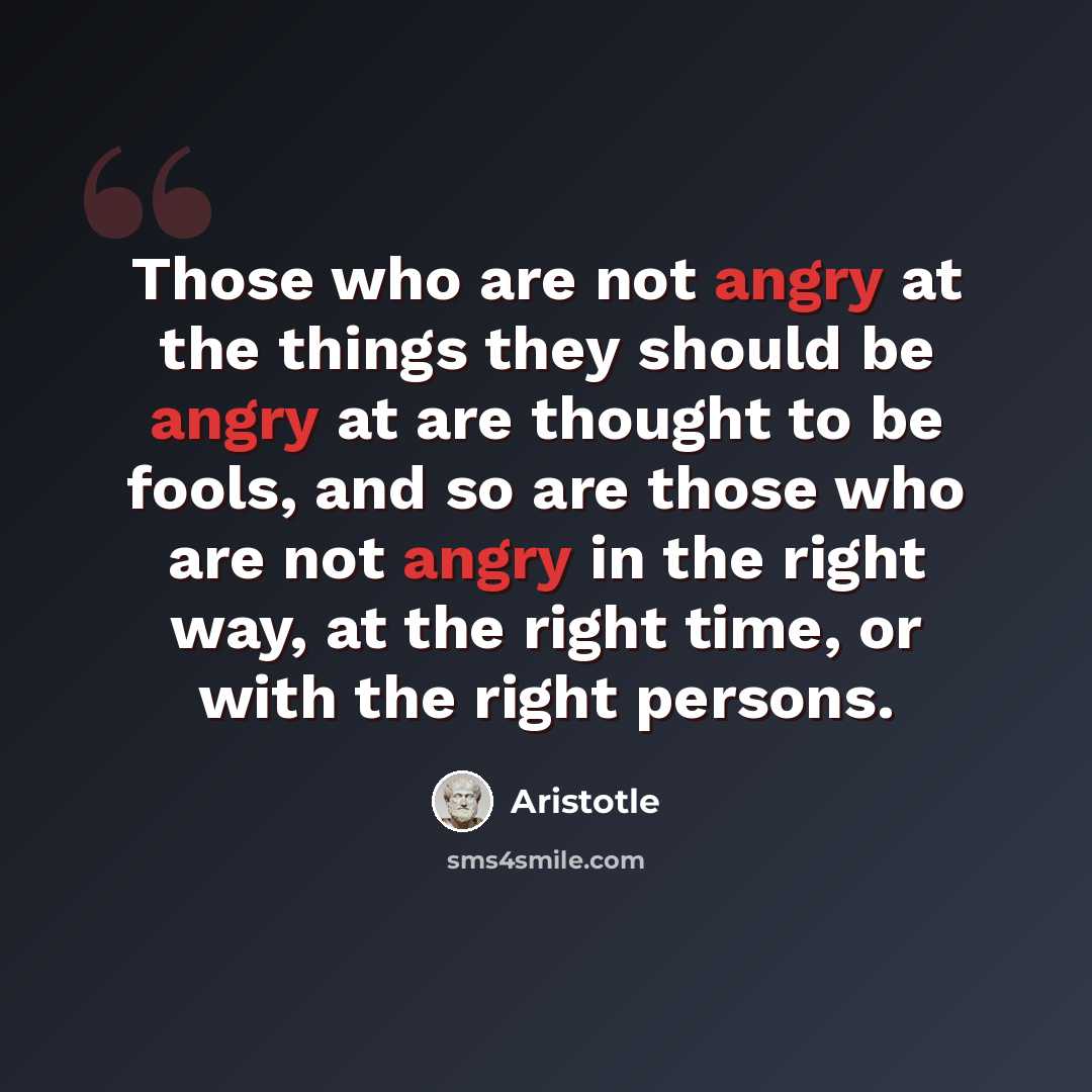 “Those who are not angry at the things they should be angry at are thought to be fools, and so are those who are not angry in the right way, at the right time, or with the right persons.” quote by Aristotle