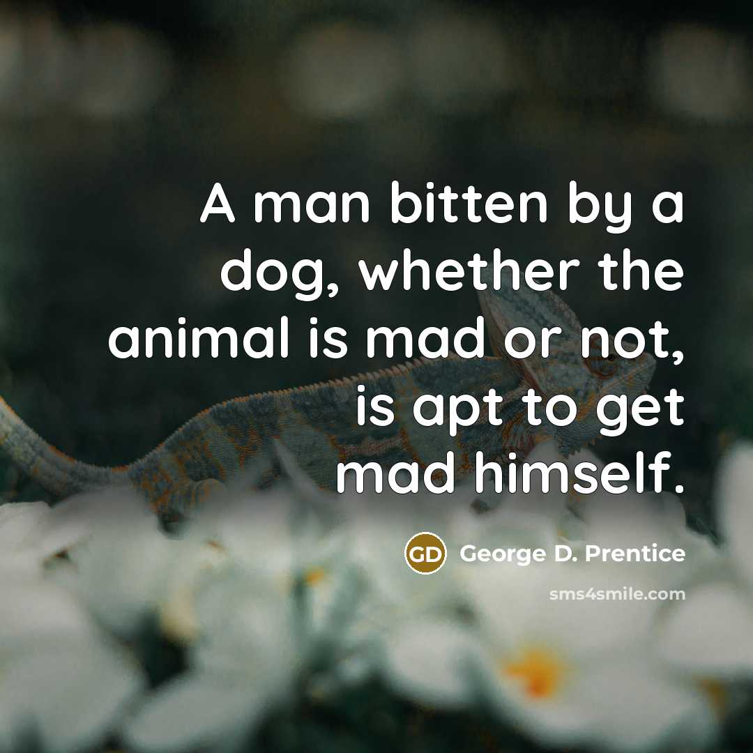 “A man bitten by a dog, whether the animal is mad or not, is apt to get mad himself.” quote by George D. Prentice