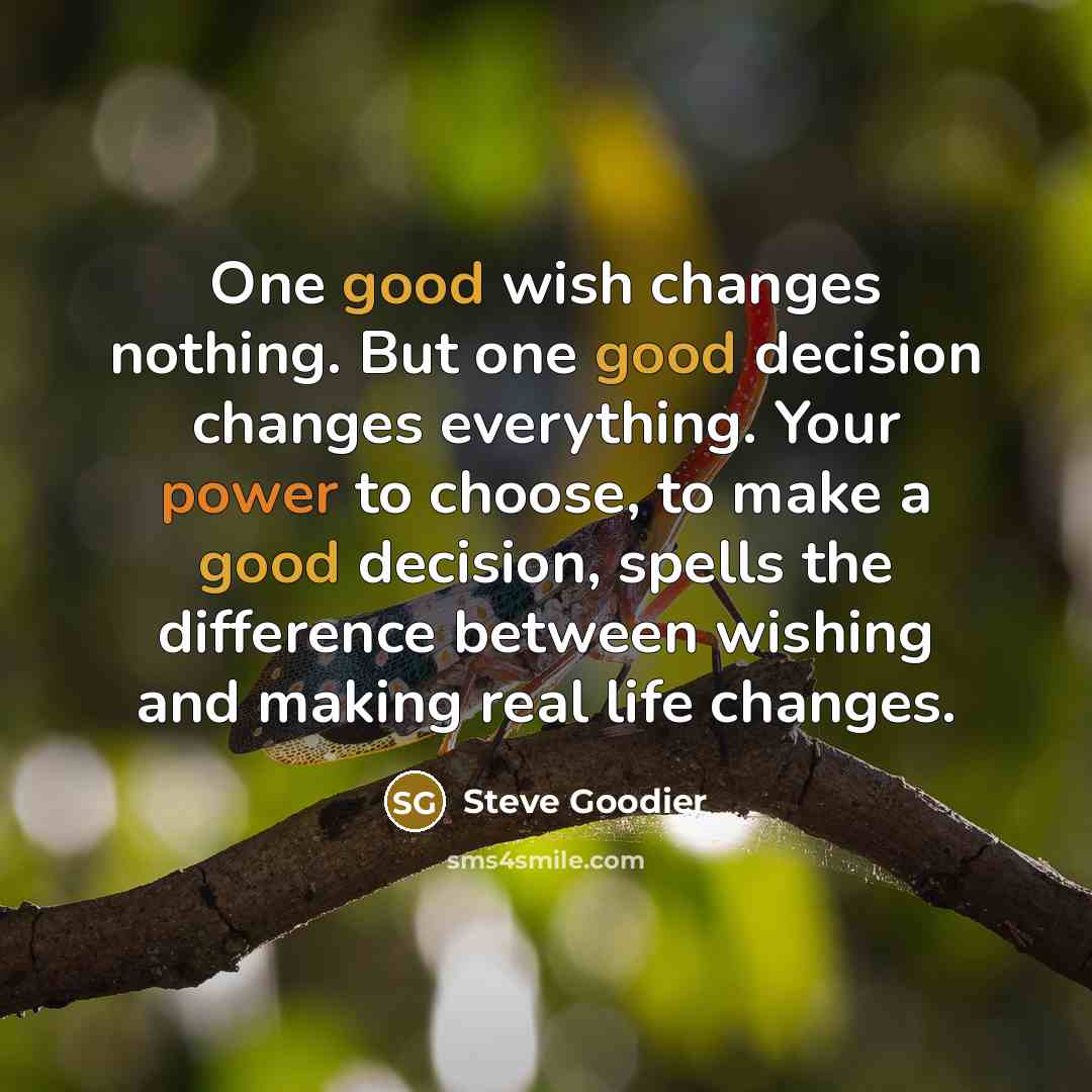 “One good wish changes nothing. But one good decision changes everything. Your power to choose, to make a good decision, spells the difference between wishing and making real life changes.” quote by Steve Goodier