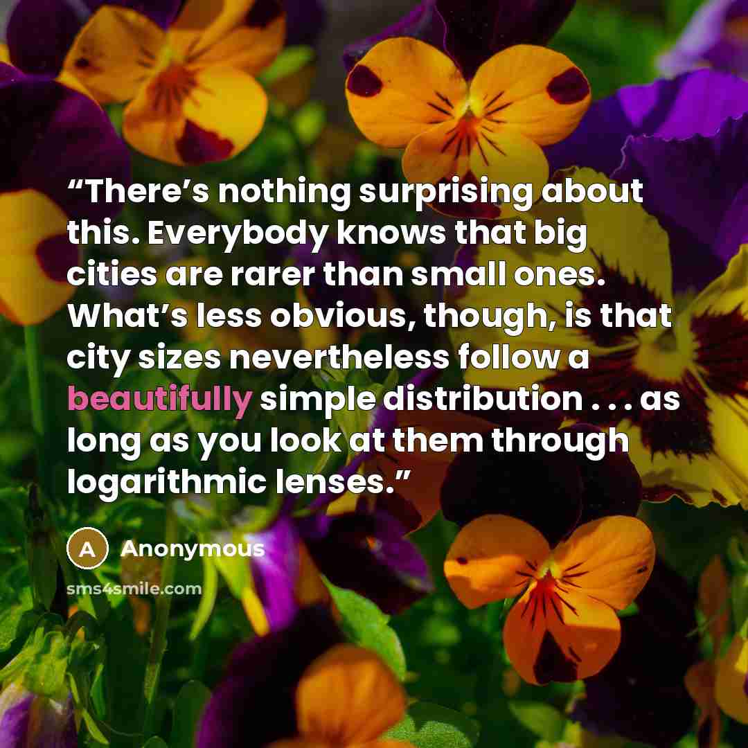 “There’s nothing surprising about this. Everybody knows that big cities are rarer than small ones. What’s less obvious, though, is that city sizes nevertheless follow a beautifully simple distribution . . . as long as you look at them through logarithmic lenses.” quote by Anonymous