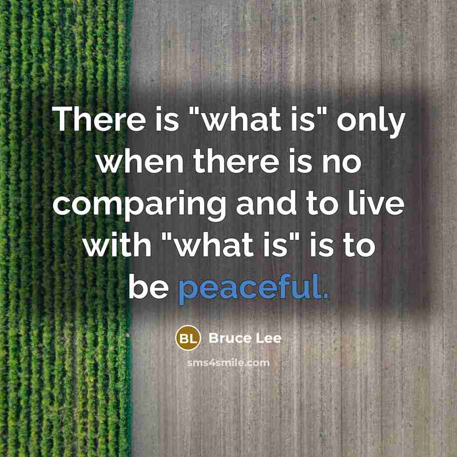 “There is "what is" only when there is no comparing and to live with "what is" is to be peaceful.” quote by Bruce Lee