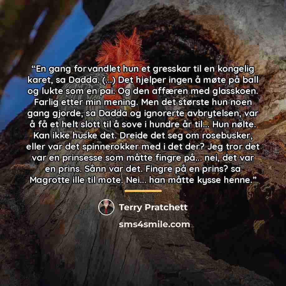 “En gang forvandlet hun et gresskar til en kongelig karet, sa Dadda. (...) Det hjelper ingen å møte på ball og lukte som en pai. Og den affæren med glasskoen. Farlig etter min mening. Men det største hun noen gang gjorde, sa Dadda og ignorerte avbrytelsen, var å få et helt slott til å sove i hundre…” quote by Terry Pratchett