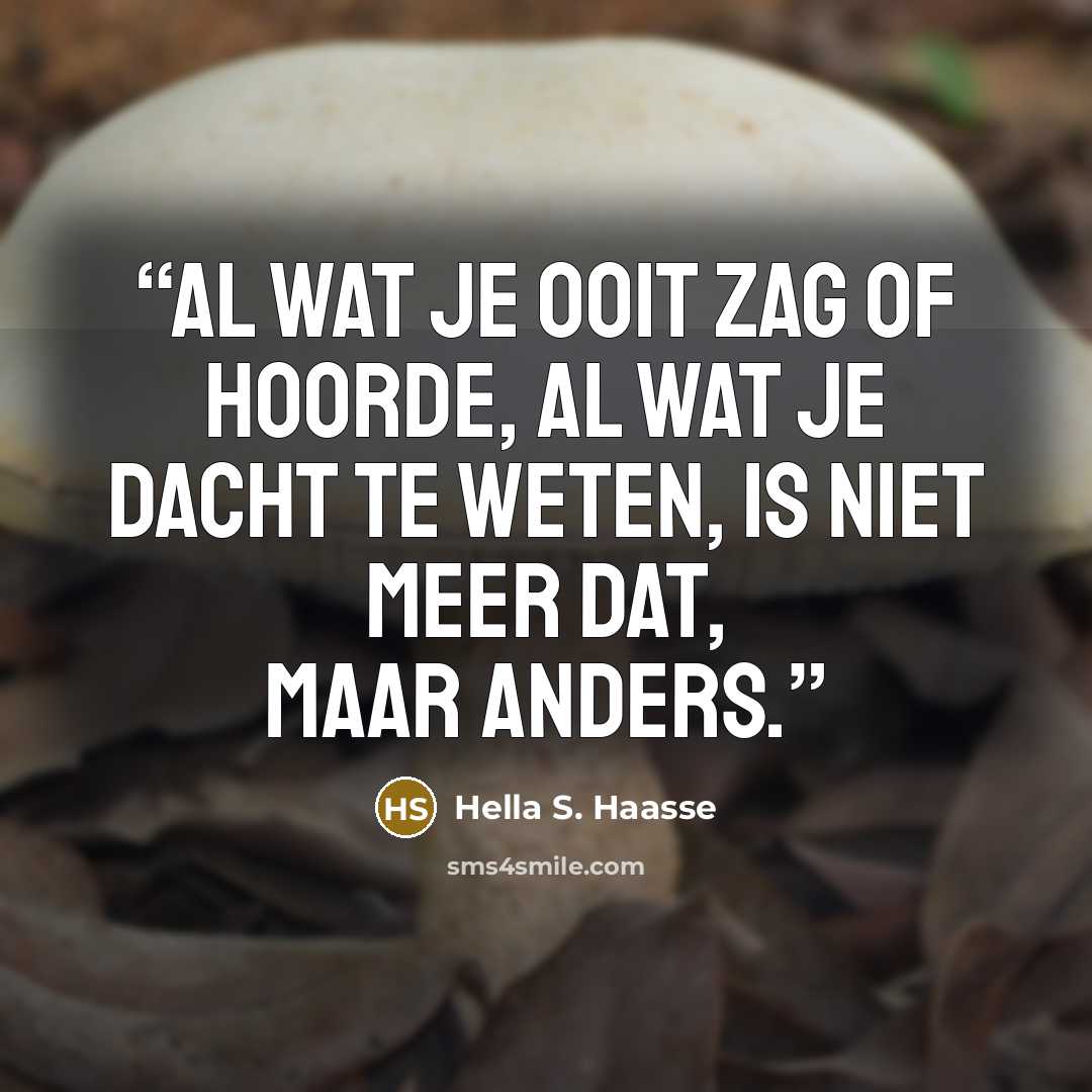 “Al wat je ooit zag of hoorde, al wat je dacht te weten, is niet meer dat, maar anders.” quote by Hella S. Haasse