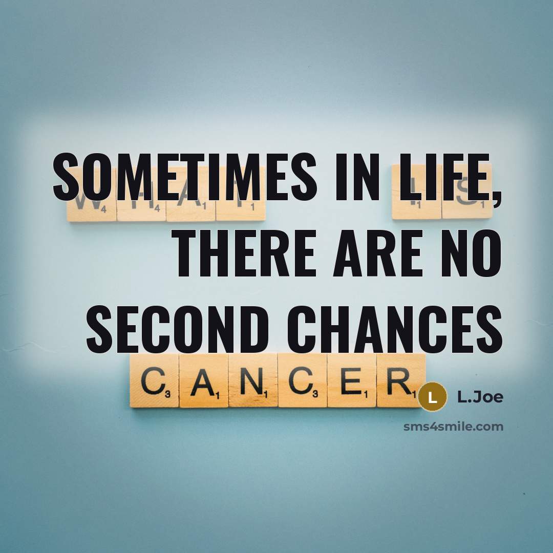 “Sometimes in life, there are no second chances” quote by L.Joe