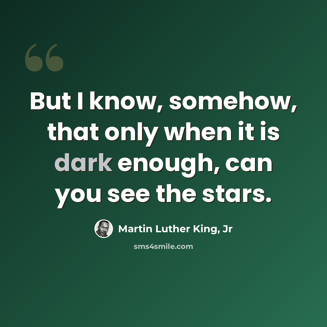 “But I know, somehow, that only when it is dark enough, can you see the stars.” quote by Martin Luther King, Jr