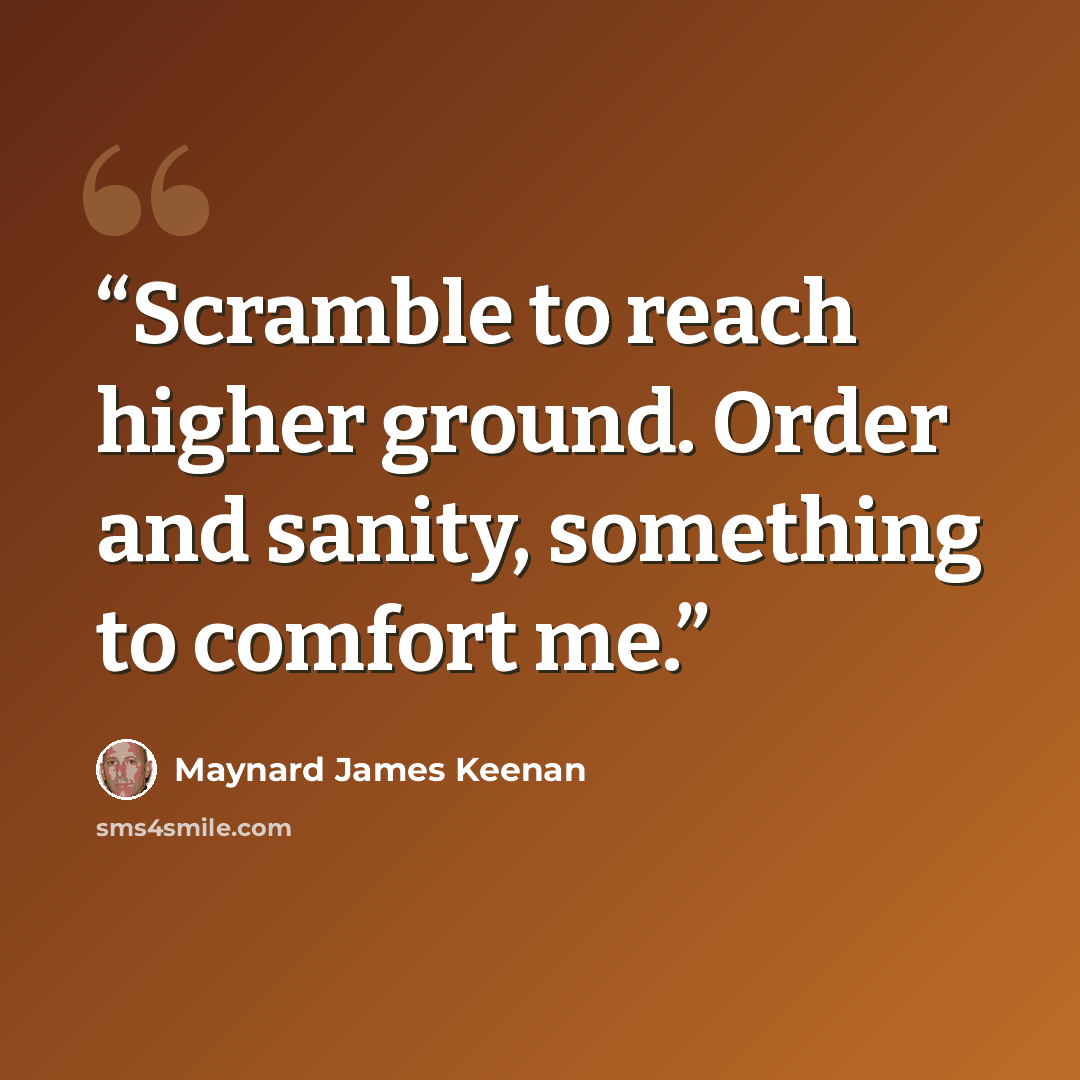 “Scramble to reach higher ground. Order and sanity, something to comfort me.” quote by Maynard James Keenan