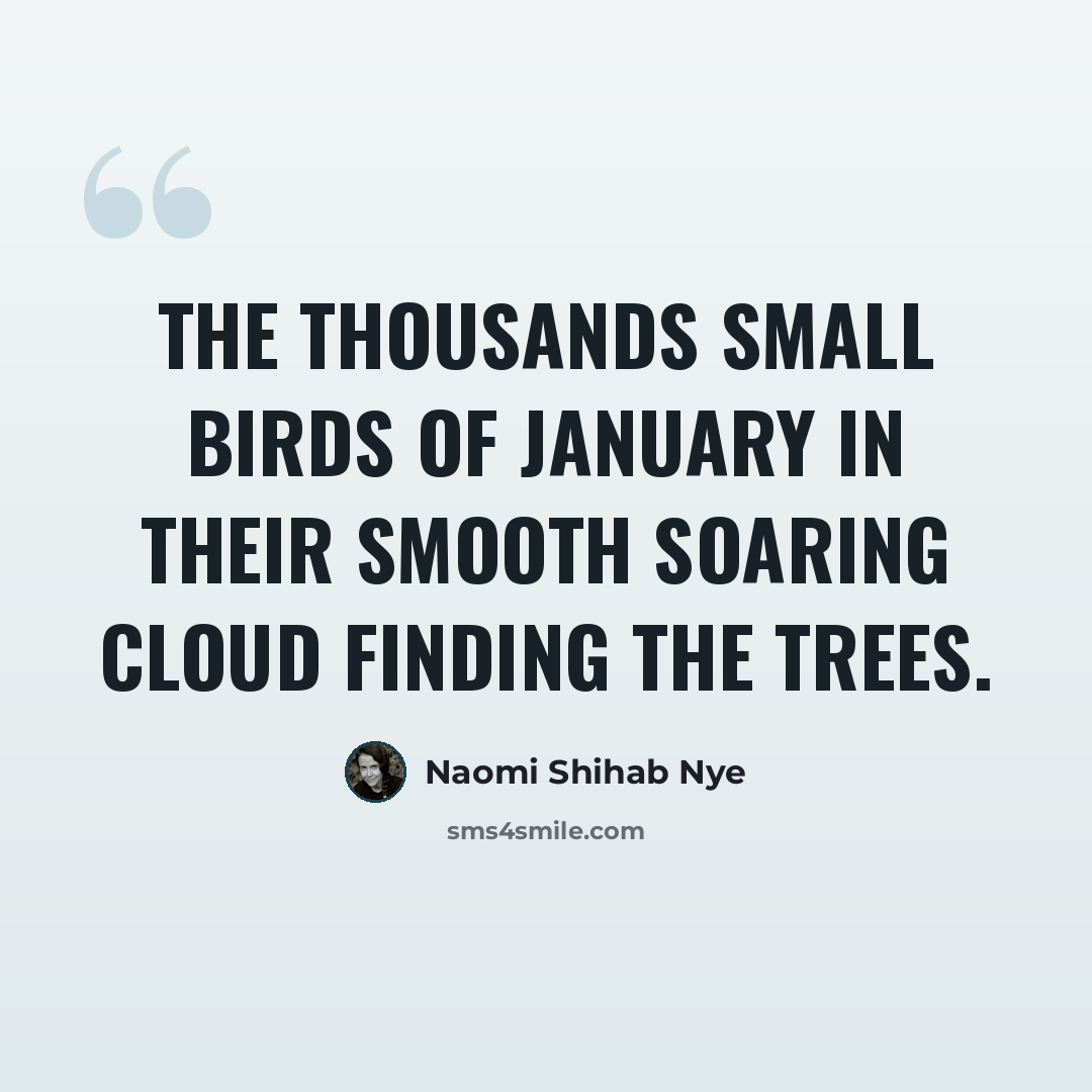 “The thousands small birds of January in their smooth soaring cloud finding the trees.” quote by Naomi Shihab Nye