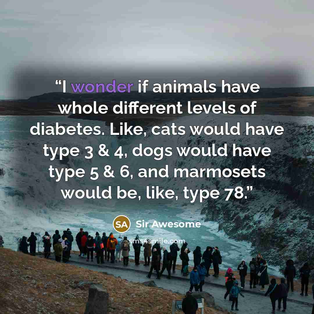 “I wonder if animals have whole different levels of diabetes. Like, cats would have type 3 & 4, dogs would have type 5 & 6, and marmosets would be, like, type 78.” quote by Sir Awesome