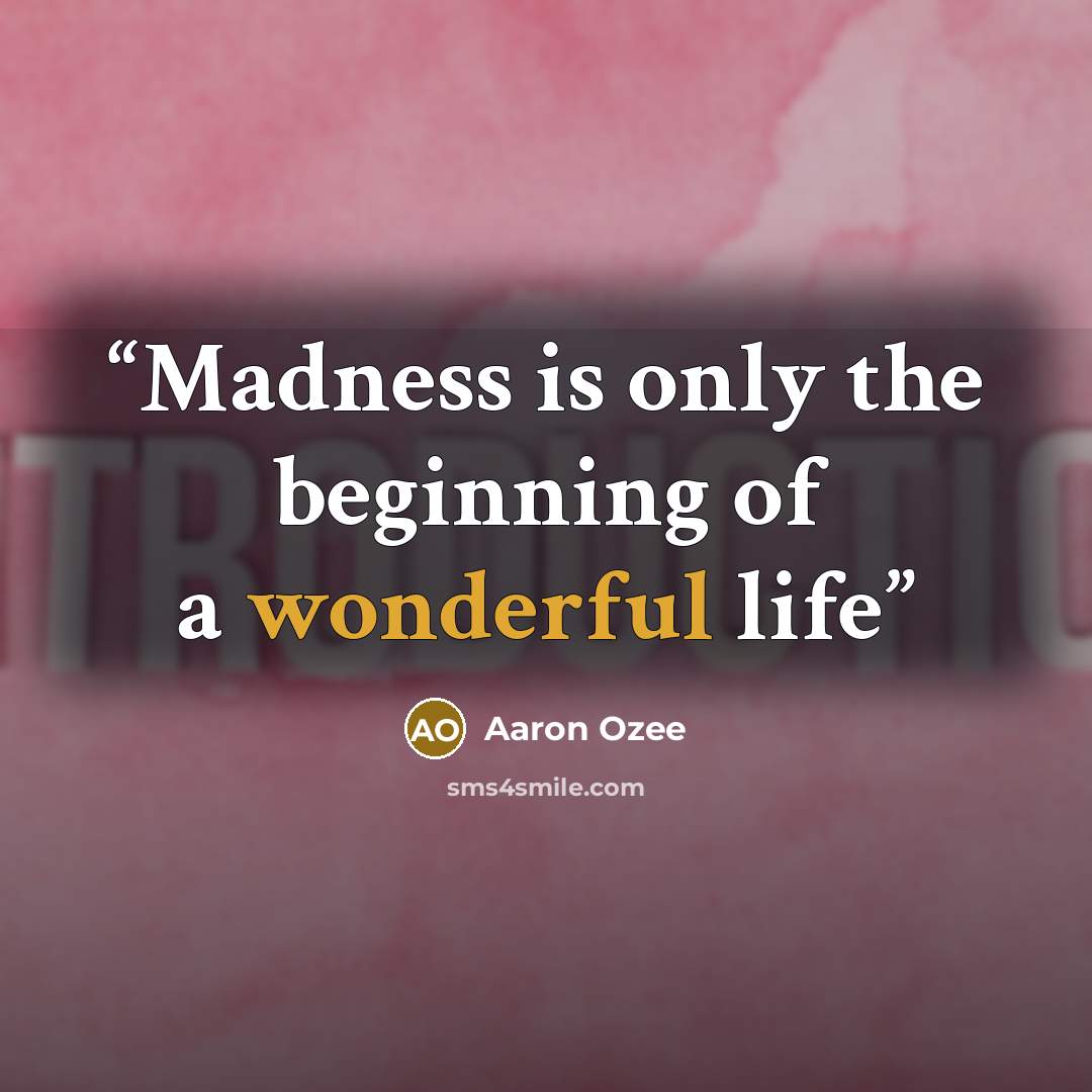 “Madness is only the beginning of a wonderful life” quote by Aaron Ozee