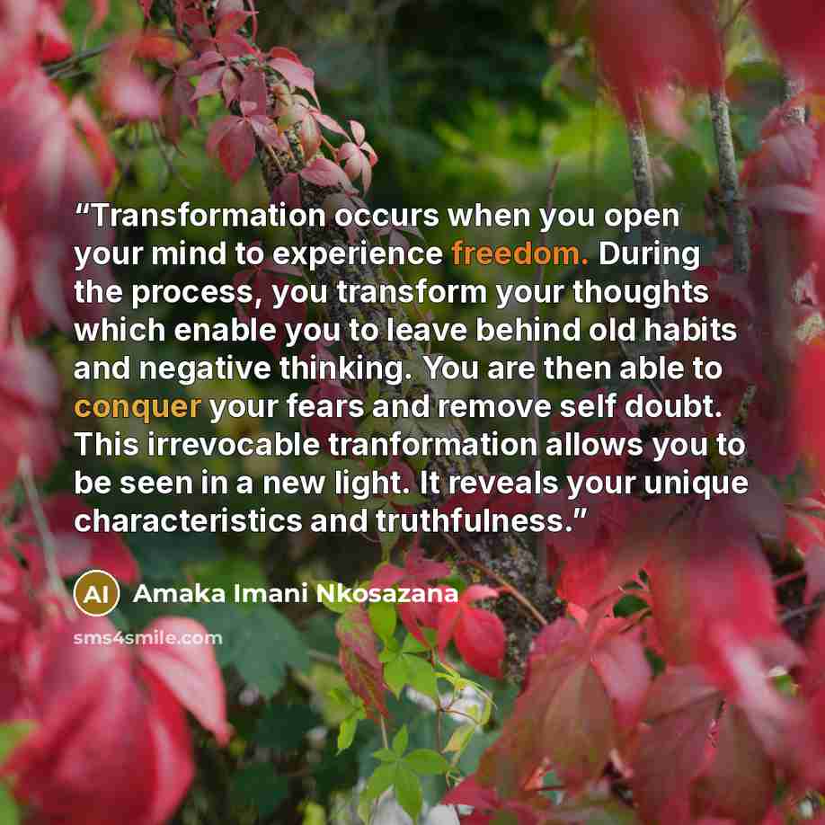 “Transformation occurs when you open your mind to experience freedom. During the process, you transform your thoughts which enable you to leave behind old habits and negative thinking. You are then able to conquer your fears and remove self doubt. This irrevocable tranformation allows you to be…” quote by Amaka Imani Nkosazana