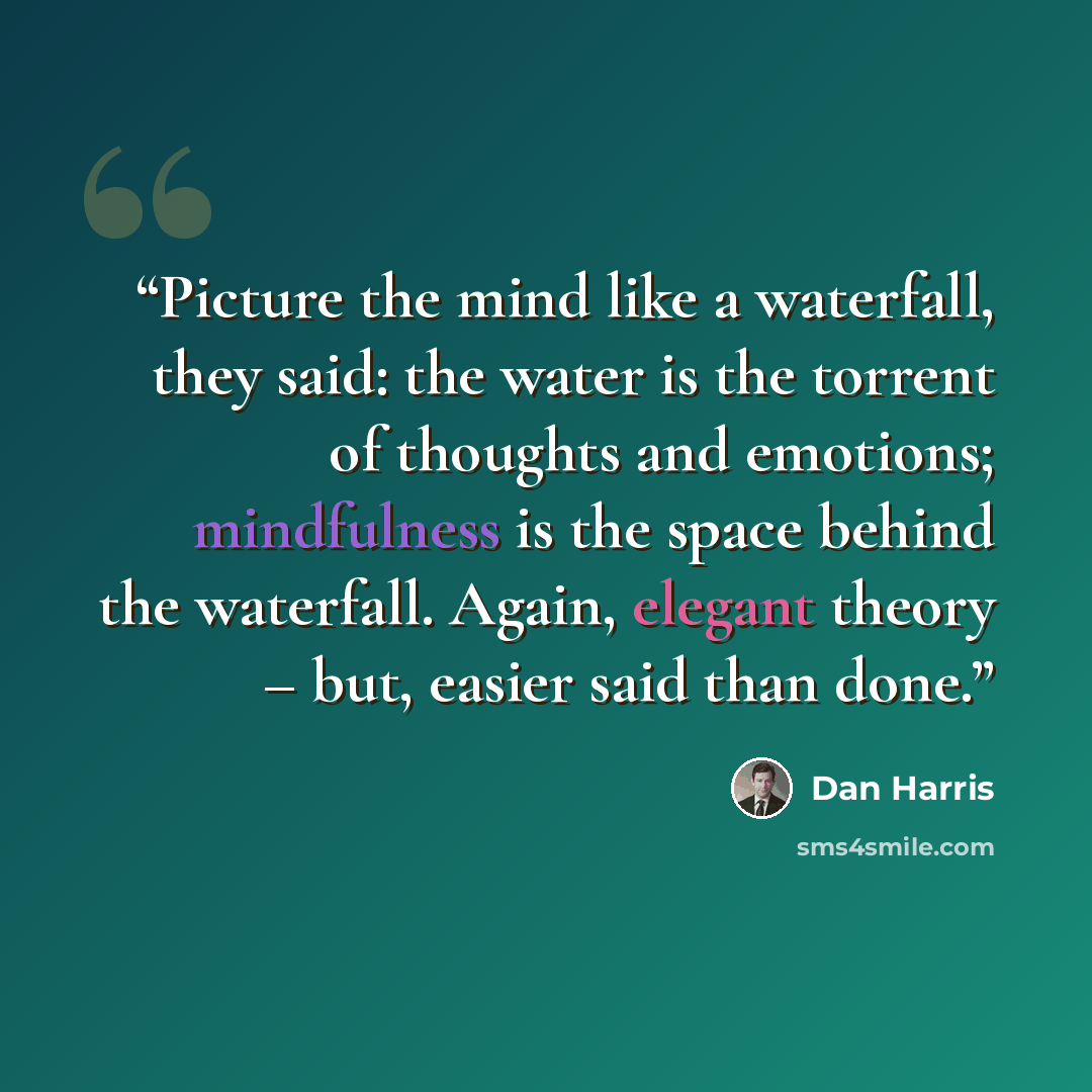 “Picture the mind like a waterfall, they said: the water is the torrent of thoughts and emotions; mindfulness is the space behind the waterfall. Again, elegant theory – but, easier said than done.” quote by Dan Harris