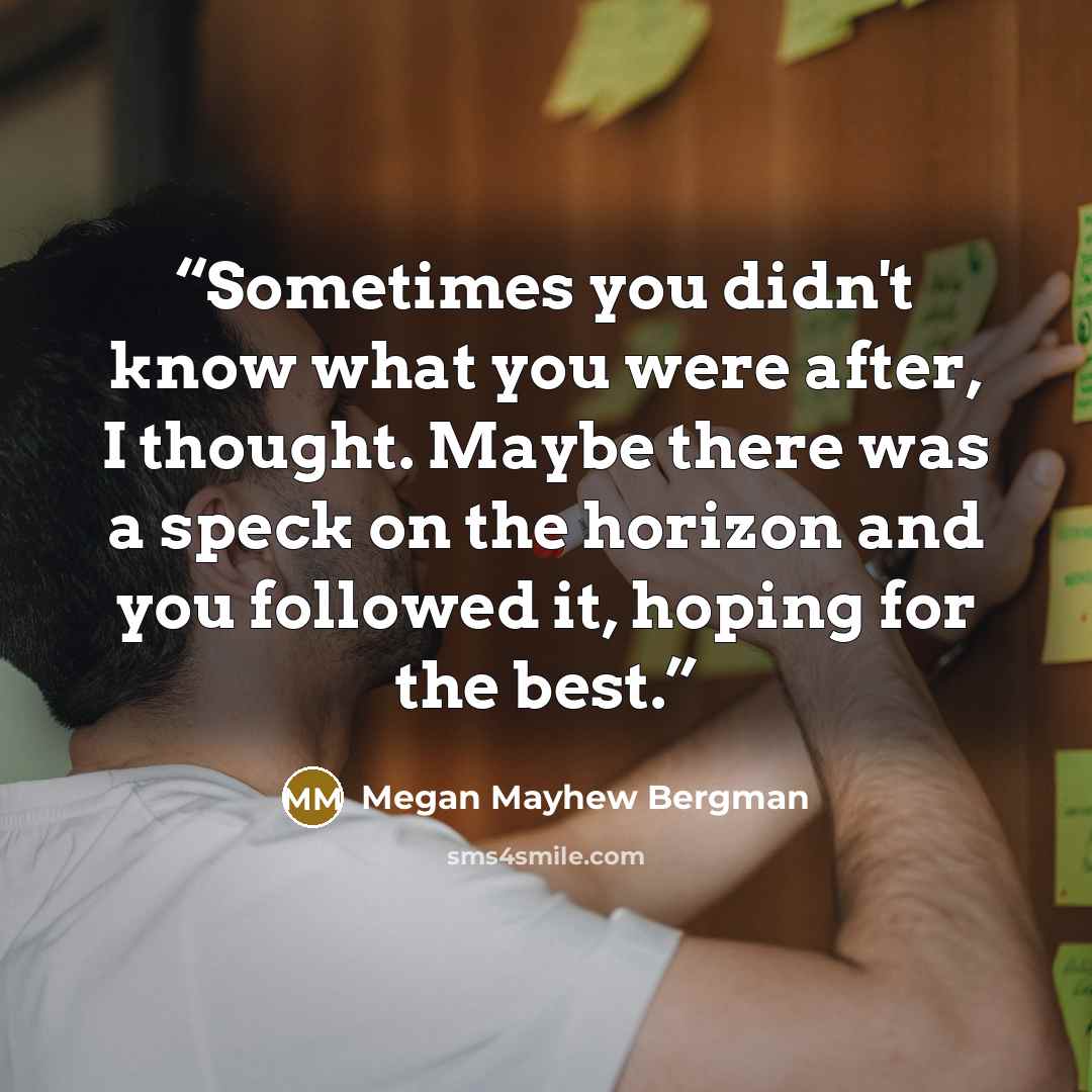 “Sometimes you didn't know what you were after, I thought. Maybe there was a speck on the horizon and you followed it, hoping for the best.” quote by Megan Mayhew Bergman